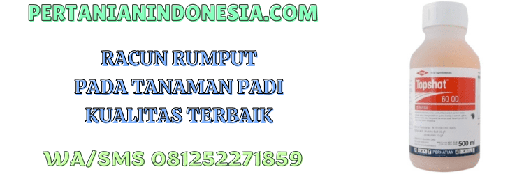racun rumput,racun,rumput,tanaman,padi,pertanian indonesia